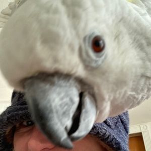 Meet your Posher, Billie jo